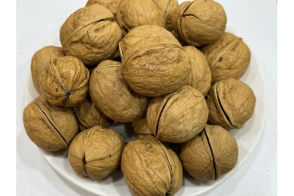 Leatheroid Walnut
